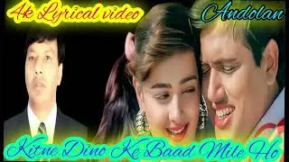 Kitne Dino Ke Baad Mile Ho | Andolan 1995 | Alka Yagnik & Kumar Sanu | Govinda & Mamta Kulkarni