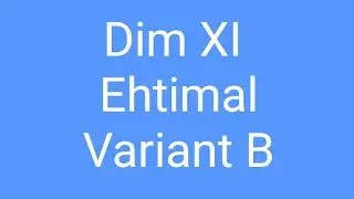 XI Dim ,Ehtimal ve statistika. B varianti.
