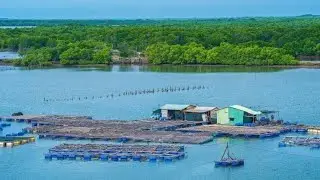 Du Lịch Vũng Tàu Khám Phá Đảo Long Sơn