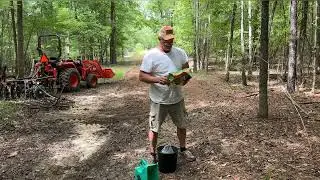 Planting a small Deer Plot #deer#foodplots