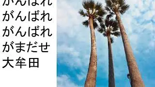 大牟田弁もおもしろか(がまだせ大牟田）2018　大人バージョン