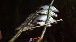 Plenty of wild food all around | 365 Days of Survival in the Deep Forest | Episode 2