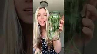 Keep Parsley alive for 2 months. No joke 😅No water in the bottle. Go try! #kitchenhacks #lifehacks
