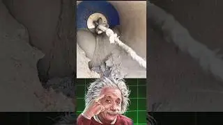 &rlm;Method of Filling Sewer Pipe Holes Usin&rlm;Steady Cement Application
