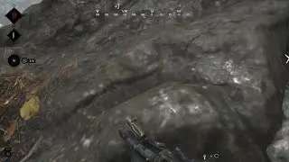 Lets do diss - Hunt showdown - random kills, deez cheeks were clenched!