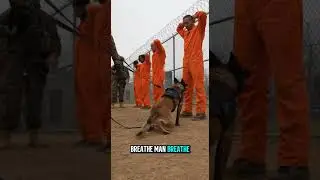 Prison Sniffer Dog Goes on Secret Mission &ndash; Finds Hidden Stolen Cigarettes and Catches the Culprit!