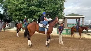 (Update) 3-year-old watch: Actuator headed to Indiana Derby
