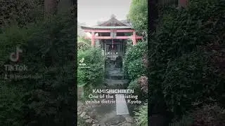 Geisha district in Kyoto 😲😲 #geisha #shorts #bestofjapan #kyotolife #kyoto
