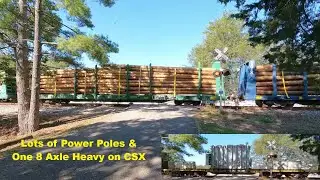 Power Poles on Log Cars & Heavy Load on 8 Axle Flat - CSX 7013, 4703 & 874