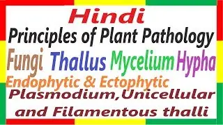 Principles of Plant Pathology - Fungi, Thallus, Hyphae, Mycelium, Plasmodium Thallus etc.| PPP #7