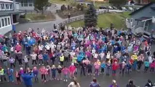 Hessa skole danser BlimE-dansen 2014