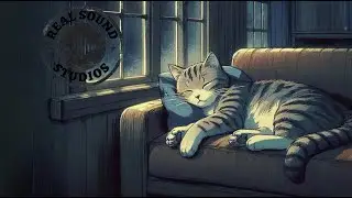 Ultimate Relaxation: Purring & Snoring Cat ASMR 🐱💤