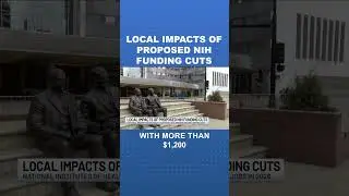 Rochester faces job losses under proposed National Institutes of Health funding cuts