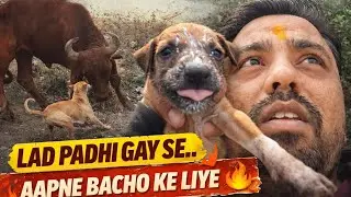 Gay Ke Samne Khadi Ho Gayi Maa 🥺🔥 Sirf Apne Bachchon Ke Liye