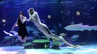 Aqua Planet Mermaid show at 63 Building Seoul South Korea #aquarium #underwaterworld