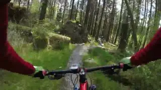 Glide-The final singletrack at the Beast, Coed Y Brenin