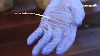 Intergrain&reg; UltraPrep&trade; Tannin & Oil Remover | PDP Video