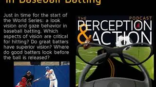 83 &ndash; Vision & Gaze Behavior in Baseball Batting