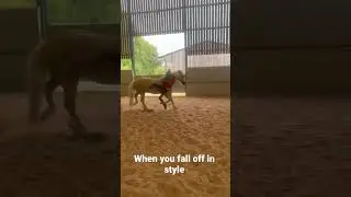 Tackless riding with two oh no -#horses #fyp #shorts #horseriding #equestrian #viral #youtubeshorts
