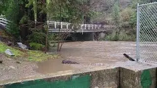 Boulder Creek, CA., January 2021 San Lorenzo River Winter Rain - Santa Cruz Mountains