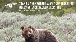 AWA Talk Night: Why Conservation needs science-backed decisions with Ruiping Luo