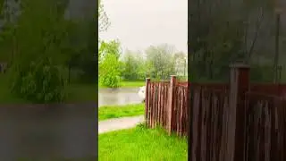 🌧️✨ Mesmerizing Rain View &ndash; Peaceful & Relaxing! ☔🌆 #viralvideo #shorts #rain #canada #vibes #clips