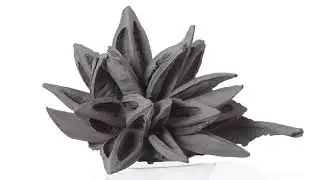 Vickerman 6