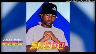 LUCKY DUBE - REMEMBER  ME -COVER by SKEBO