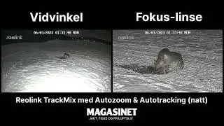 Reolink TrackMix (natt)