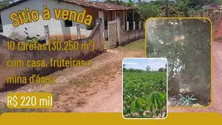 SÍTIO À VENDA | 10 TAREFAS COM RIACHO QUE NÃO SECA! ESTÂNCIA SERGIPE