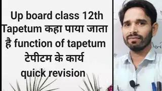#class 12th Tapetum टेपीटम तथा उसके कार्य #biology #upboard #exampapers