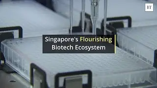 Singapore&rsquo;s Flourishing Biotech Ecosystem