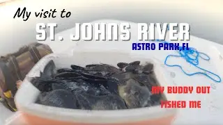 Fishing the St. Johns River with my buddy Chris, in the Mako Pro Skiff 17.  #fishing #astorpark