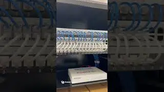 Network Cable Installation with the Running Cables Team!! #cable #cisco #cabling #edit #viral