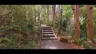 New Zealands Omeru Scenic Reserve..