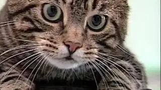 Watch This Video When You Feel Discouraged