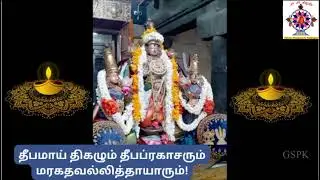 உள்/ வெளி இருளைப் போக்கும் விளக்கொளி எம்பெருமான்! Deepaprakasar Emperumaan.