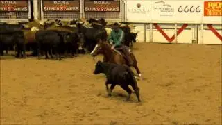 2015 NCHA Super Stakes Open Championship