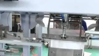 Mesin garam Pembungkusan: pembungkusan mesin garam