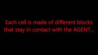 Terrorist Cell Organization