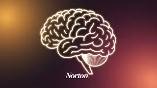 Recover Your Stolen Crypto: Expert Crypto Recovery Services by Norton Intelligence