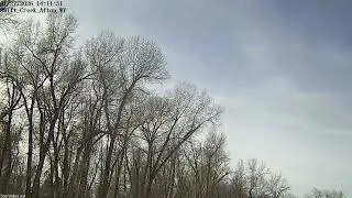 2026-01-27 Swift Creek - Zoomed