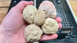 Geodes! Cutting Crazy Candies! Nummy!