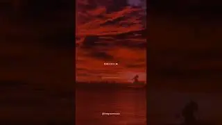 Zaalima whatsapp status | Shah Rukh Khan | Raees | Arijit Singh | whatsapp status | #shorts #status