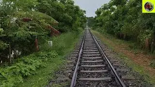 সতেজ বৃষ্টি ও রেললাইন