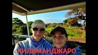 КИЛИМАНДЖАРО! ОХОТА НА ЛЬВА/САФАРИ В АМБОСЕЛИ