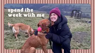 spend the week with me while dog sitting 🫶 | Amaya Evans
