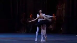 SwAn LaKe-pas de deux black swan-Ulyana Lopatkina-teatro mariinsky