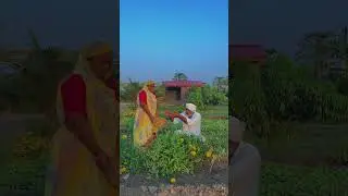 અમુક કારણોસર થોડા દિવસો વિડિયો નહીં આવે.#village#villagelife#farming#shorts #farmer@Blvadivlog