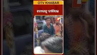 ଚୋରକୁ ବାନ୍ଧିଲେ #OTV #Berhampur #Theft
